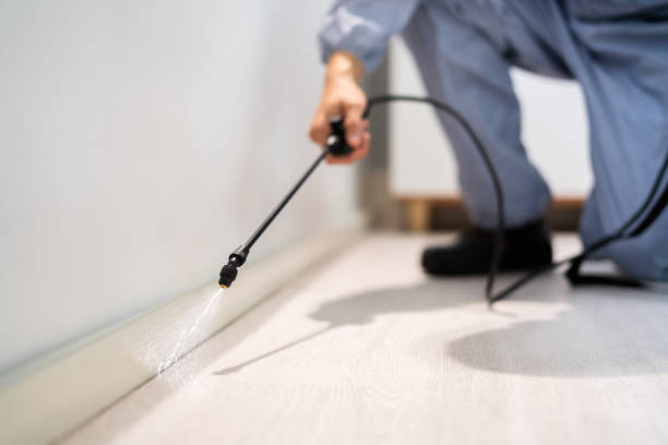 Licensed Pest Control service in West Monroe, LA - Show Me Pest Control