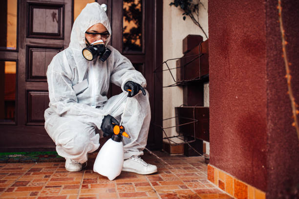 Reliable Ant Control contractor in West Monroe, LA by Show Me Pest Control